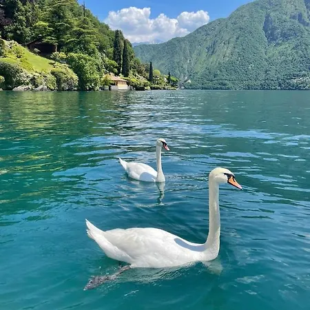 Casacamelia 35, 3 Bdrm With View 아파트