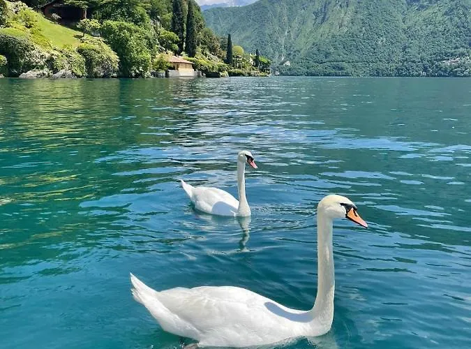 Casacamelia 35, 3 Bdrm With View Апартаменты